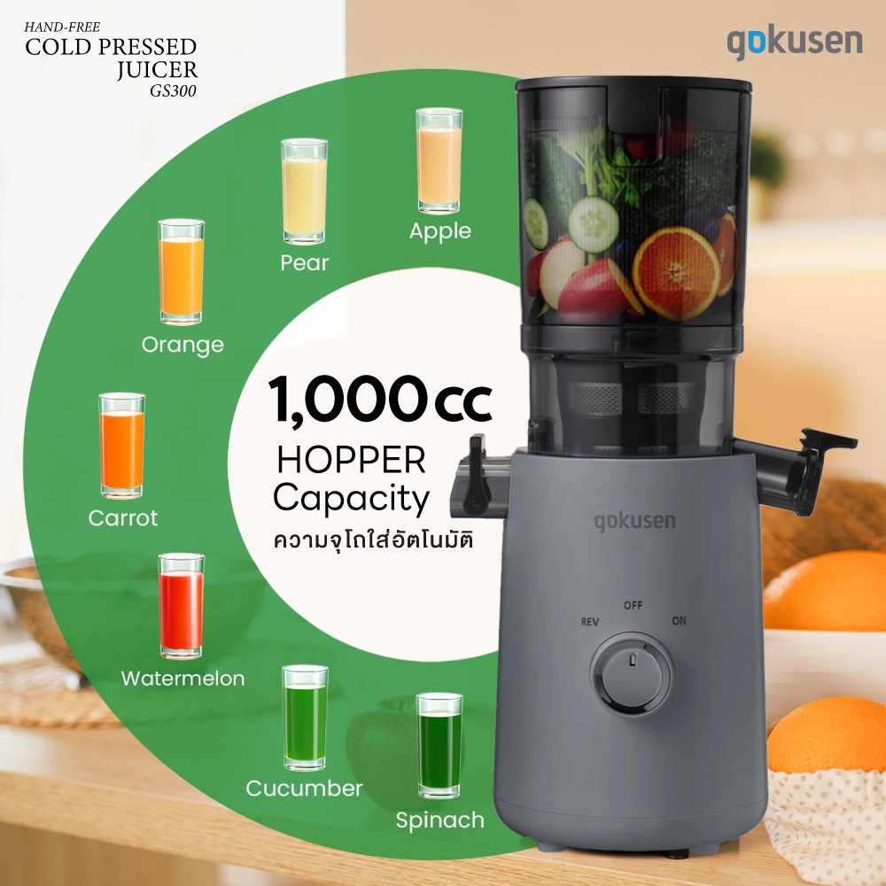 About review gs300 09 0