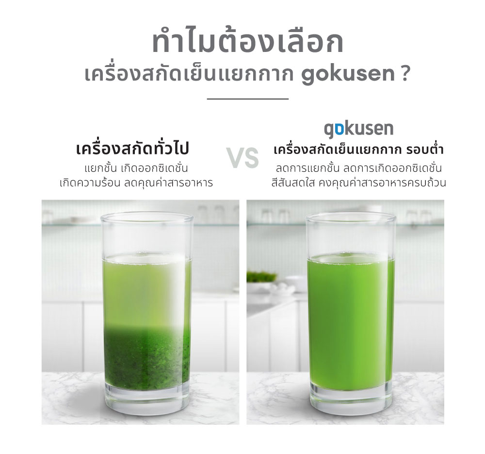 gokusen รุ่น hands free slow juicer gs800 max