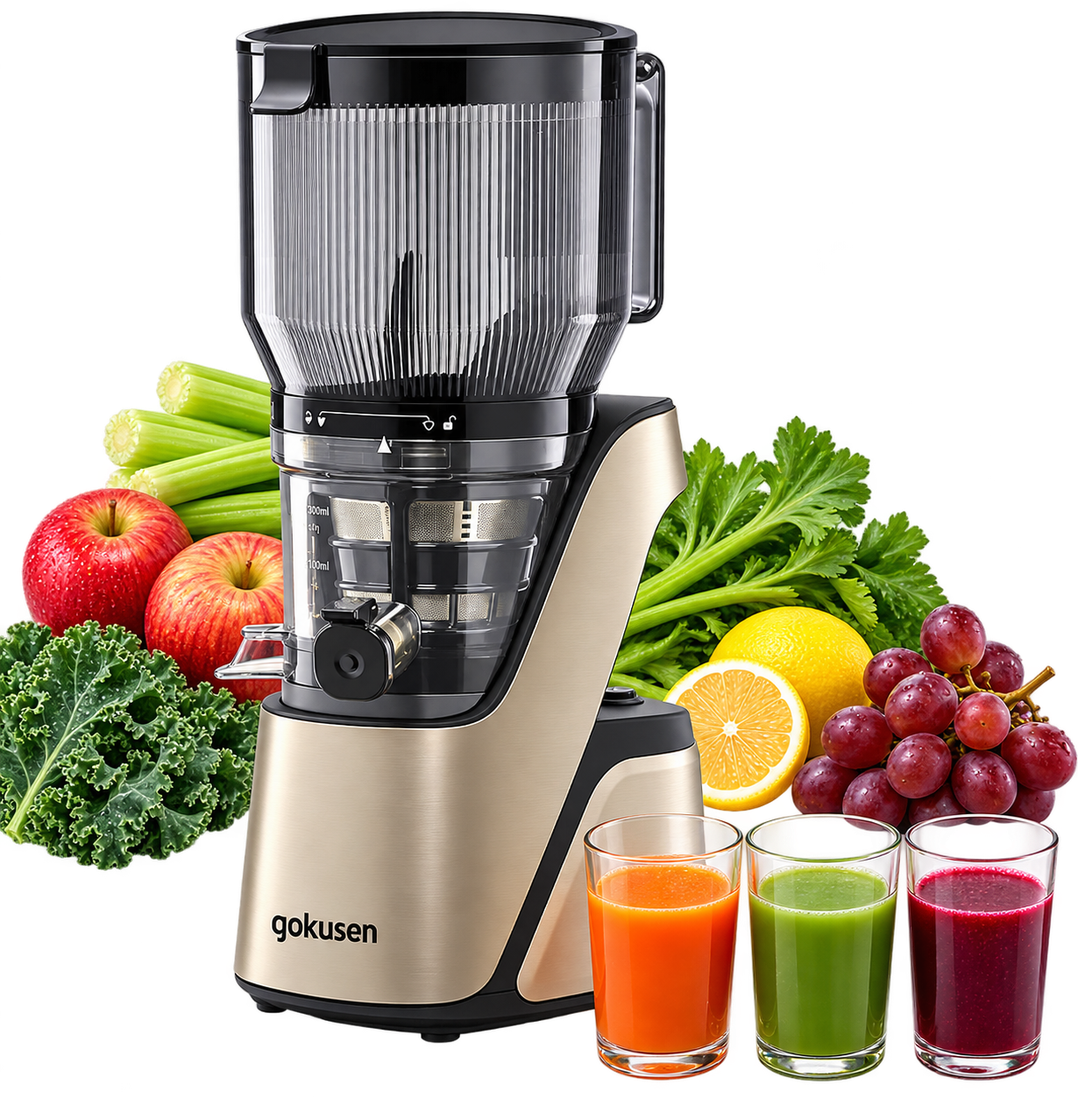 gs800max
